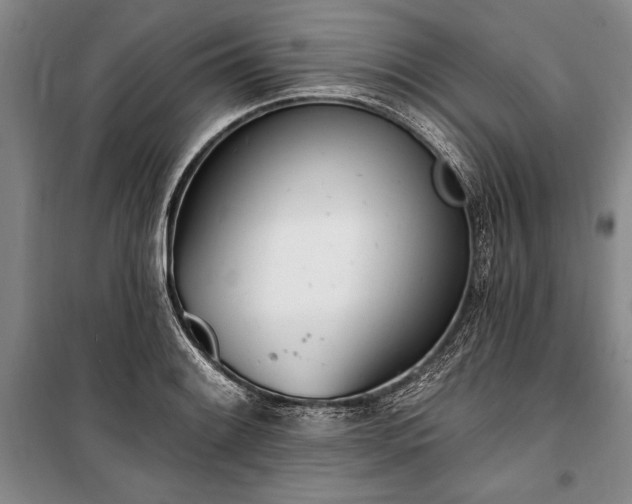 X0000100321084200806121058