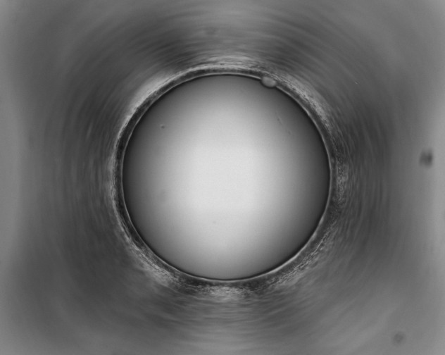 X0000100321085200806121058