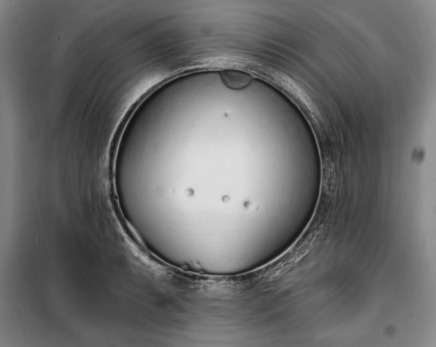 X0000100321087200806121058