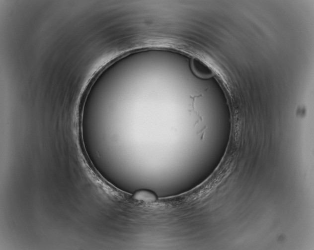 X0000100321088200806121058