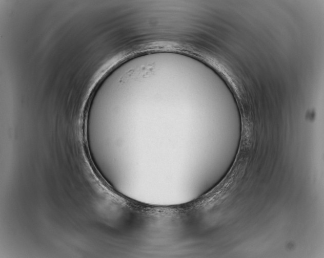 X0000100321090200806121058