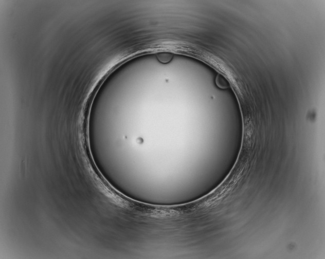 X0000100321091200806121058