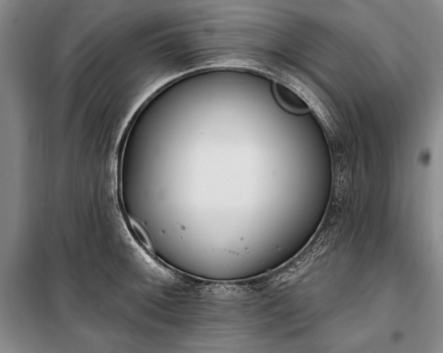 X0000100321092200806121058