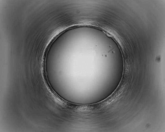 X0000100321093200806121058