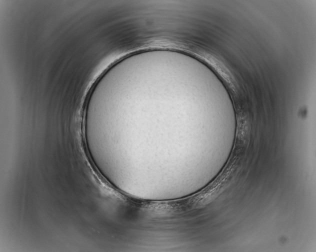 X0000100321094200806121058