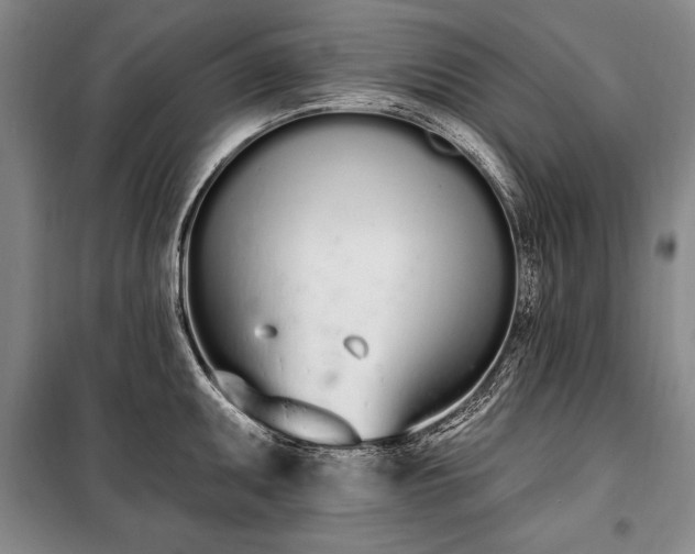 X0000100321095200806121058