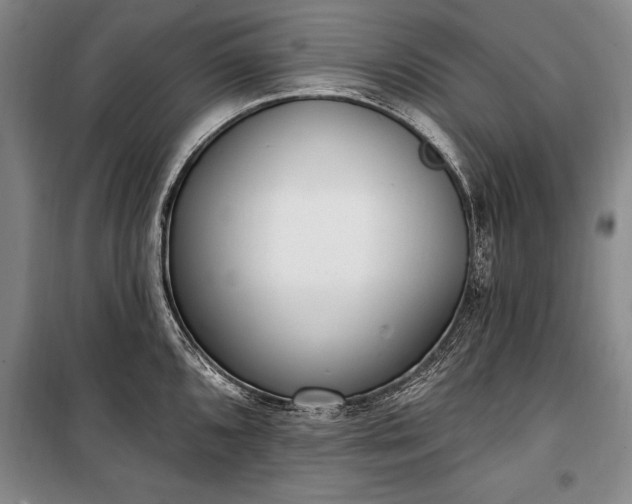 X0000100321096200806121058