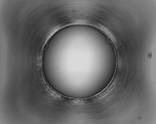 X0000100321097200806121058