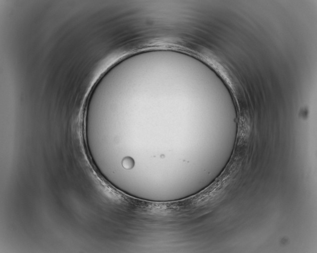 X0000100321098200806121058