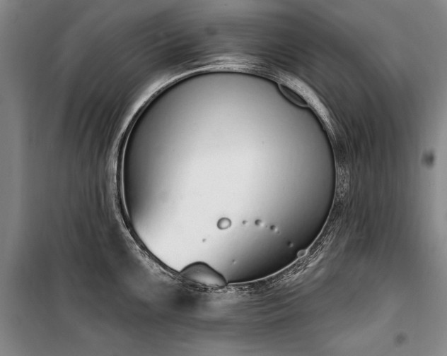 X0000100321099200806121058