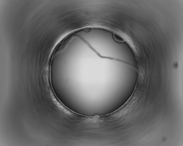 X0000100321100200806121058