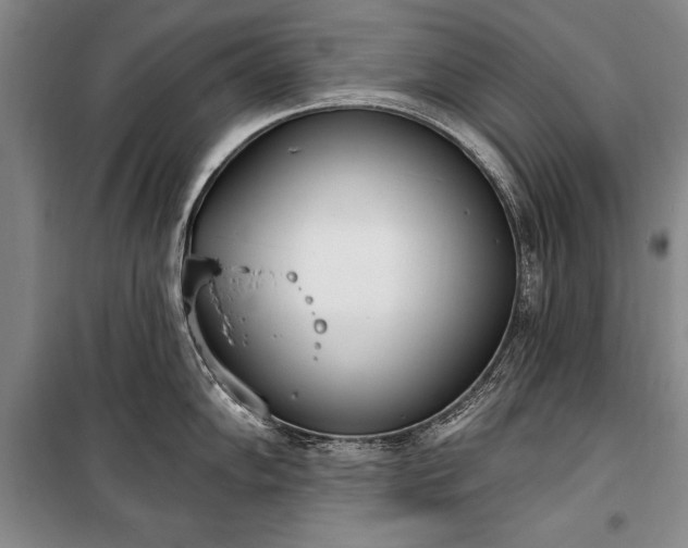 X0000100321102200806121058