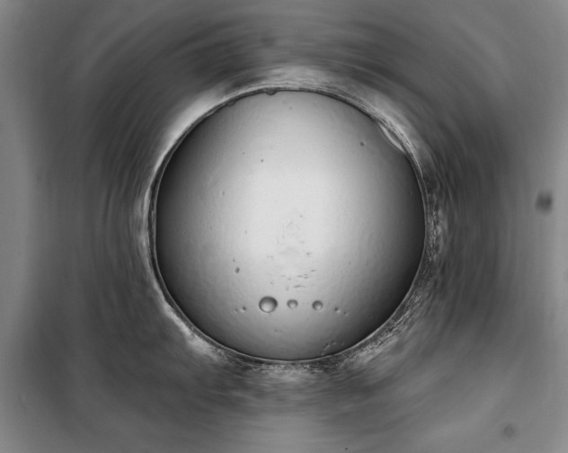 X0000100321103200806121058