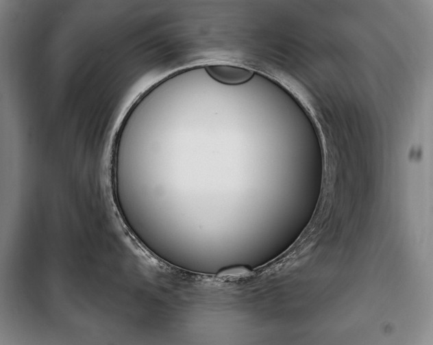 X0000100321104200806121058