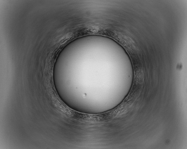 X0000100321105200806121057