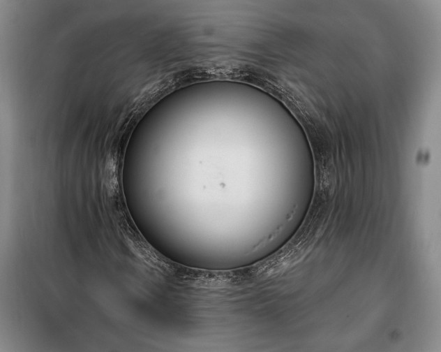 X0000100321106200806121057