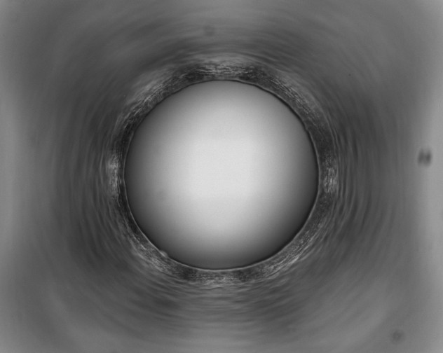 X0000100321108200806121057