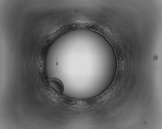 X0000100321109200806121057