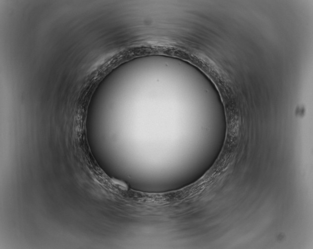 X0000100321110200806121057