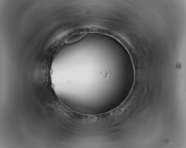 X0000100321111200806121057