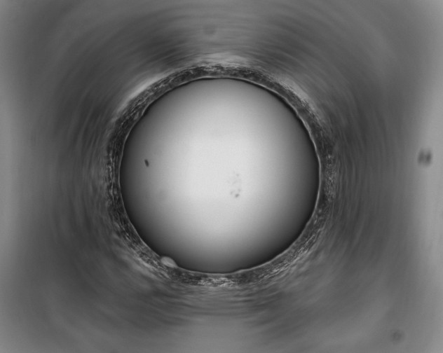 X0000100321112200806121057