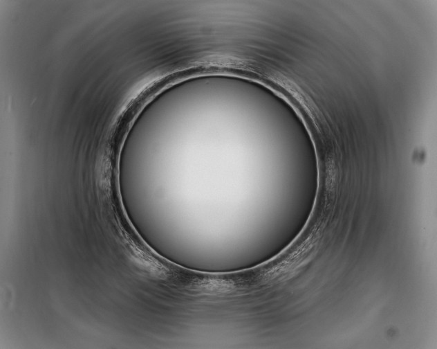 X0000100321115200806121057