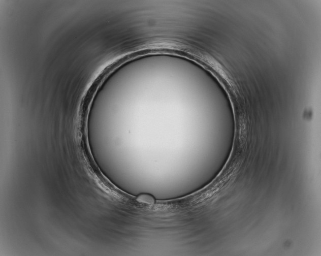 X0000100321116200806121057