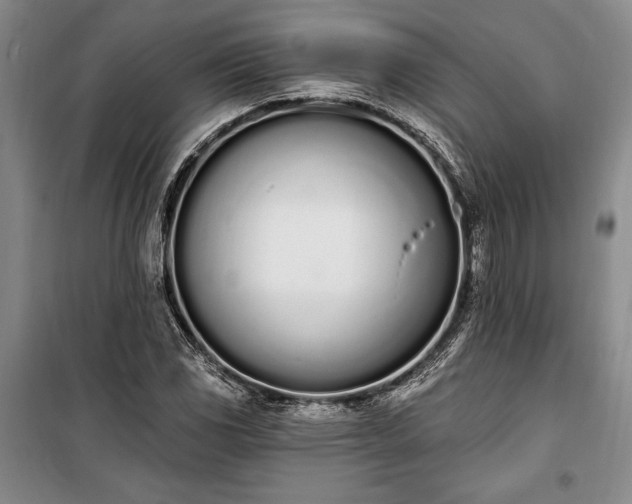 X0000100321117200806121057