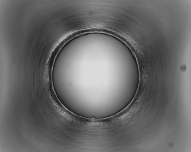 X0000100321118200806121057