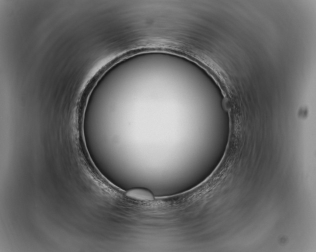 X0000100321120200806121058