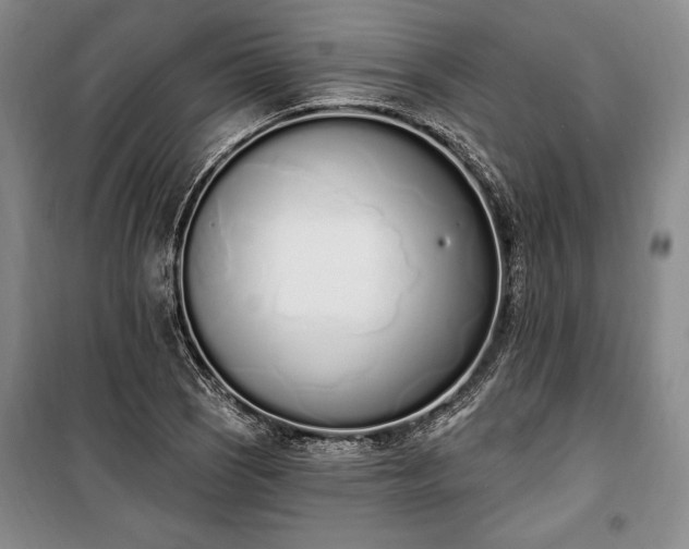 X0000100321121200806121058