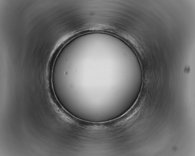 X0000100321122200806121058