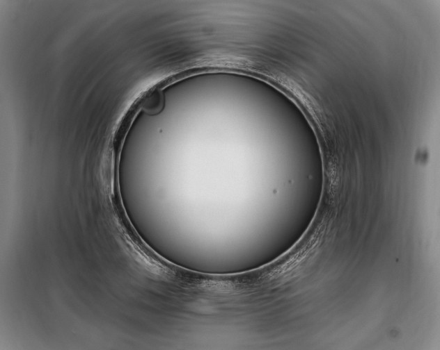 X0000100321123200806121058