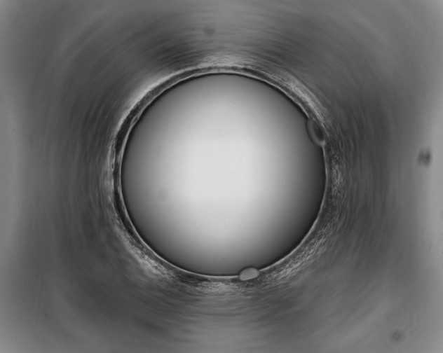 X0000100321124200806121058