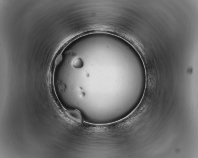 X0000100321125200806121058