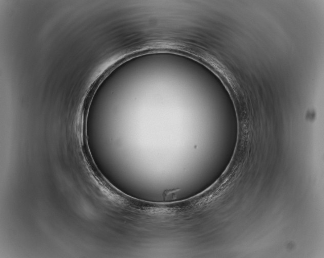 X0000100321127200806121058