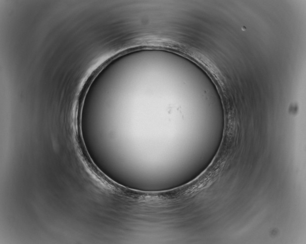 X0000100321128200806121058