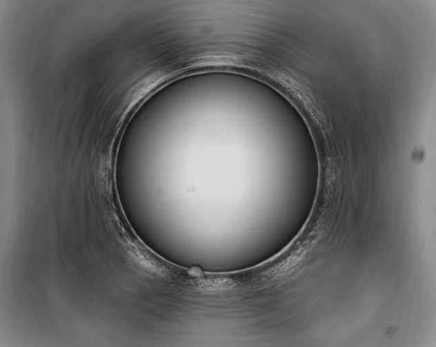 X0000100321129200806121058