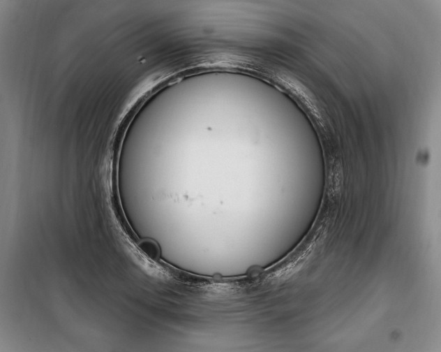 X0000100321130200806121058