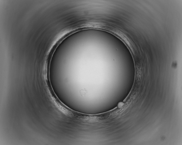 X0000100321131200806121058