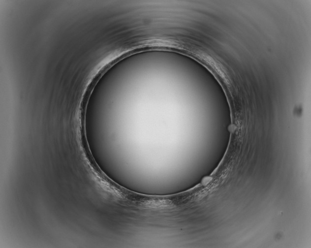 X0000100321133200806121058