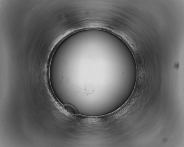 X0000100321134200806121058