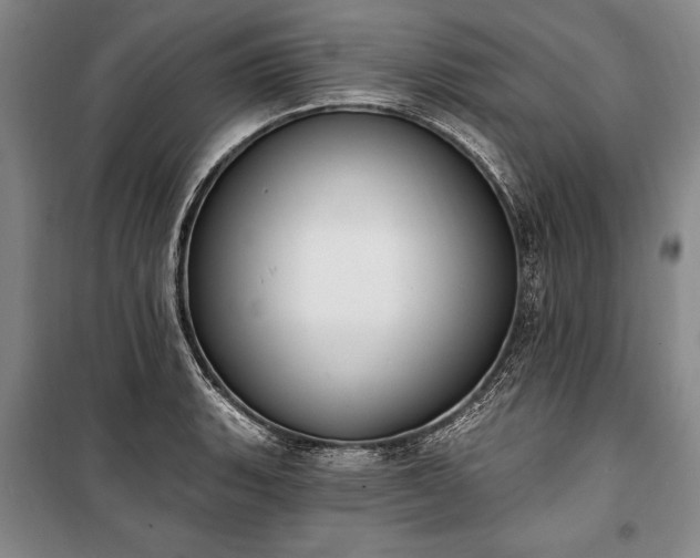 X0000100321135200806121058