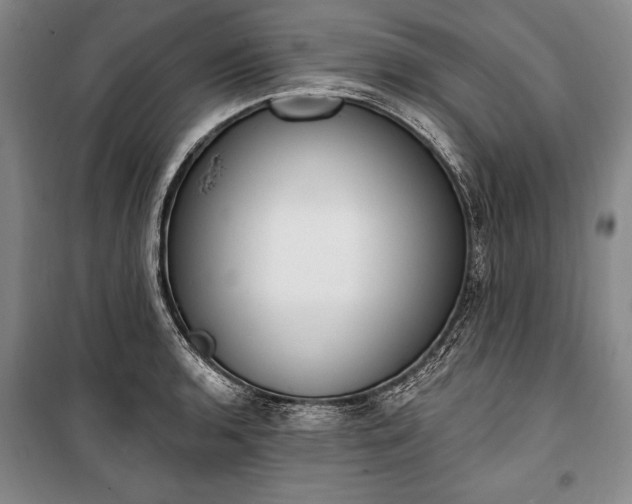 X0000100321136200806121058