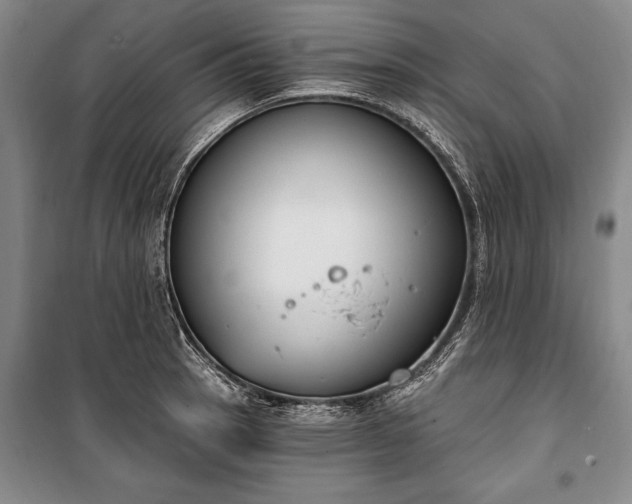 X0000100321137200806121058