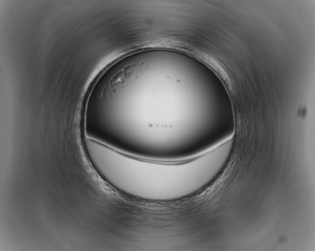 X0000100321138200806121058