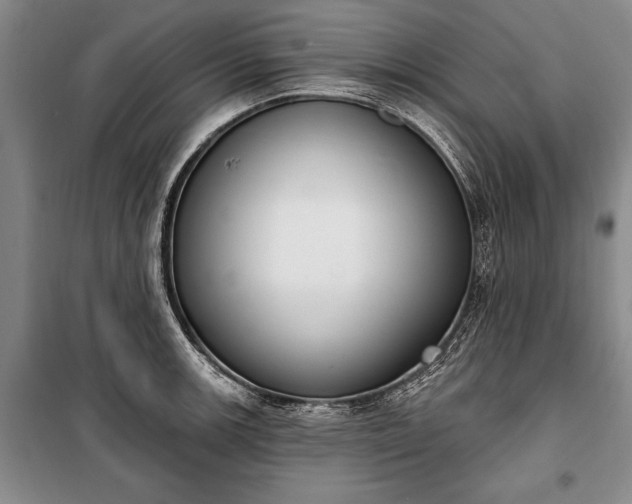 X0000100321139200806121058