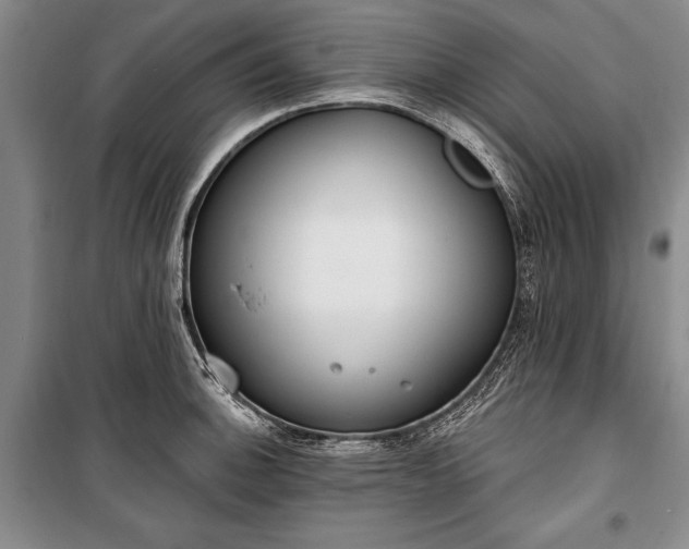 X0000100321140200806121058