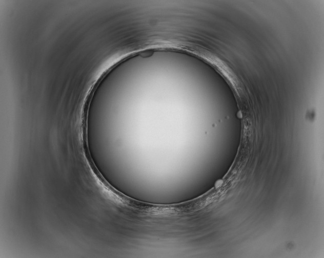 X0000100321143200806121058