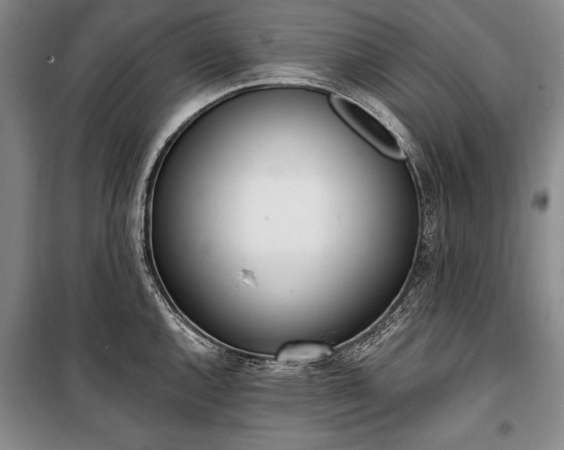 X0000100321144200806121058